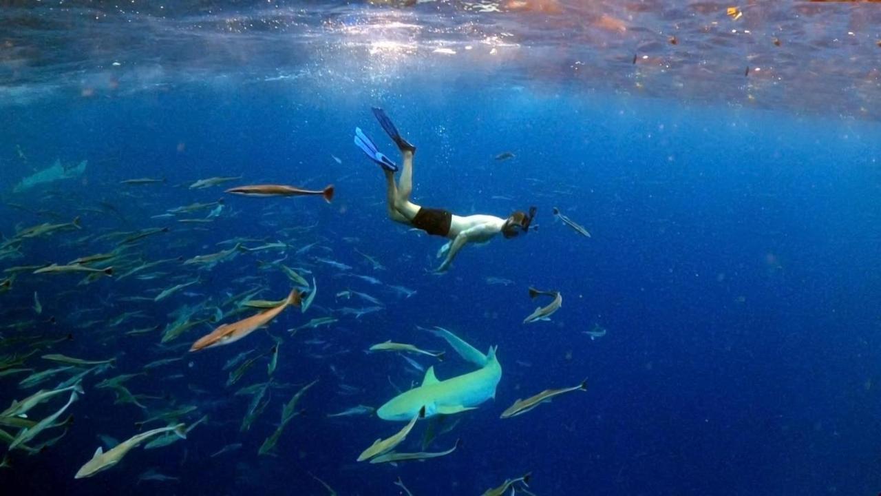 Kiha Beach Dharavandhoo Eksteriør bilde