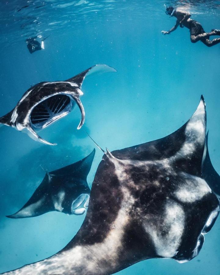 Kiha Beach Dharavandhoo Eksteriør bilde